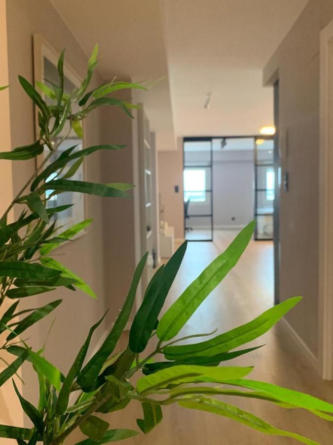 סרגוסה Espectacular Loft Lleno De Luz Y Espacio! מראה חיצוני תמונה